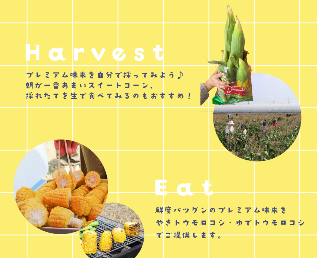 善通寺市 プレミアム味来をとって食べよう！